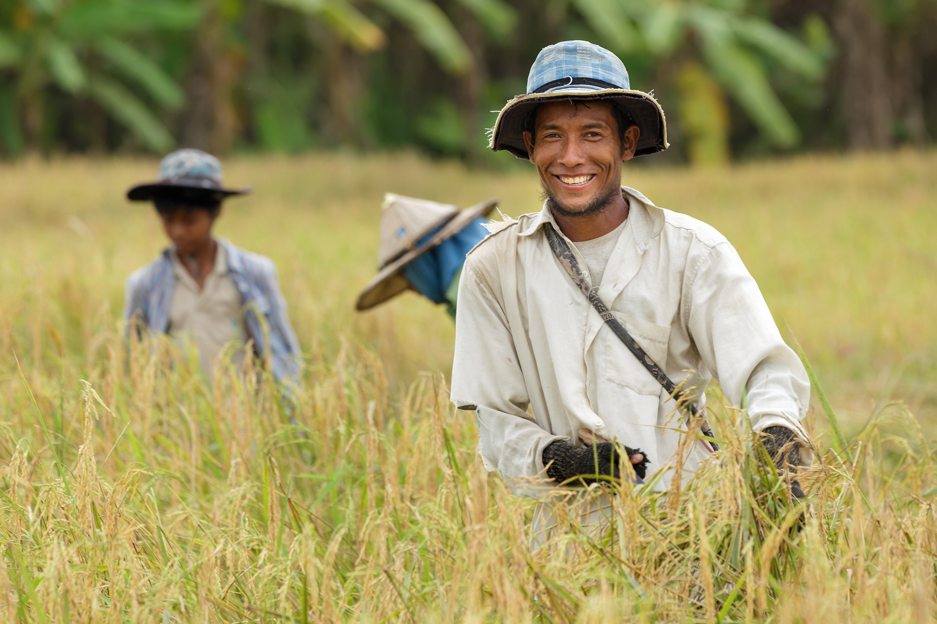 Happy Thai Farmer