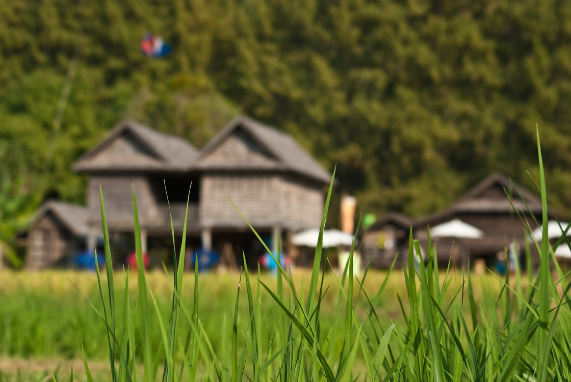 rural thai house